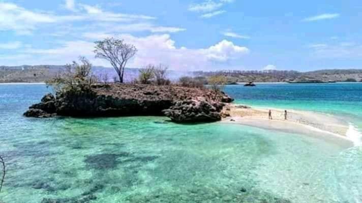 Jaya Homestay Tetebatu Exteriör bild