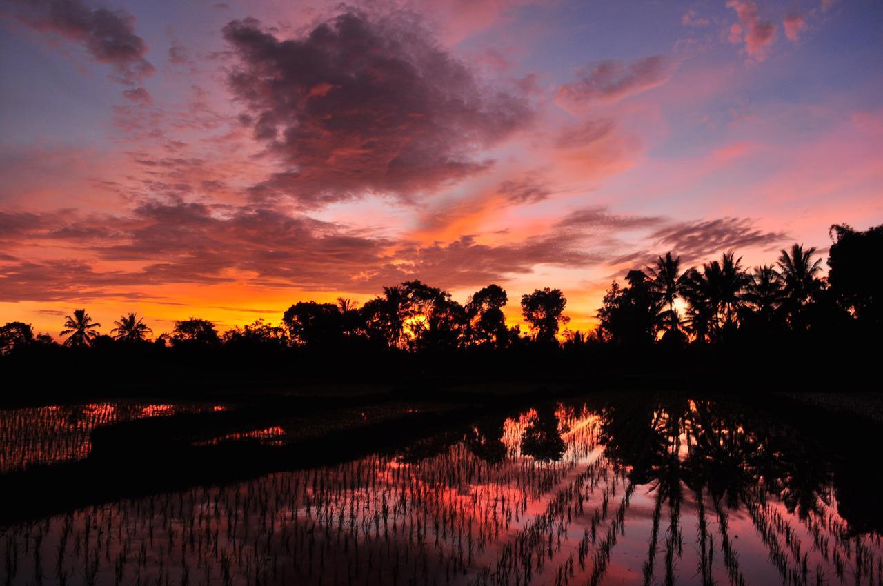 Jaya Homestay Tetebatu Exteriör bild